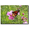 Trademark Global Spring I Gallery-Wrapped Canvas Print By Cary Hahn, 14"H x 19"W