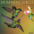 2024 Willow Creek Press Animals Monthly Wall Calendar, 12" x 12", Hummingbirds, January To December