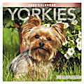 Office Depot® Brand Monthly Wall Calendar, Yorkies, January To December 2023, ODE3231023 1 thumbnail image