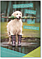 Viabella Get Well Greeting Card, Dog, 5" x 7", Multicolor