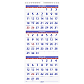 AT-A-GLANCE Three Month 2023 RY Reference Vertical Wall Calendar, Large, 12" x 27"