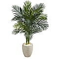 Nearly Natural Golden Cane Palm 54”H Artificial Tree With Oval Planter, 54”H x 33”W x 33’D, Green