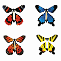Insect Lore Wind-Up Butterfly, Assorted, 7" x 5 1/2", Pre-K To Grade 4 1 thumbnail image