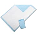 Protection Plus Disposable Underpads, 23" x 36", Light Blue, Pack Of 25