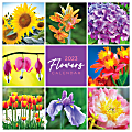 TF Publishing Scenic Monthly Wall Calendar, 12" x 12", Flowers, January To December 2023