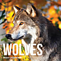 2024 TF Publishing Animal Wall Calendars, 12” x 12”, Wolves, January To December