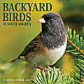 2025 Willow Creek Press Mini Wall Calendar, 7” x 7”, Backyard Birds, January 2025 To December 2025, 45800 1 thumbnail image