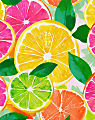 Willow Creek Press Monthly Academic Booklet Planner, 7-1/2" x 9-1/2", Citrus Squeeze, July 2026 - June 2027, Total Qty 1 1 thumbnail image