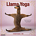 2026 Willow Creek Press Animals Monthly Wall Calendar, 12" x 12", Llama Yoga, January To December, 55489 1 thumbnail image