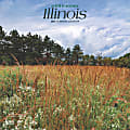 2025 BrownTrout Illinois Wild & Scenic Monthly Plastic-Free Square Wall Calendar, 12" x 12", American States, January to December 2025, 9781975474935 1 thumbnail image