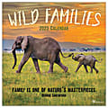 TF Publishing Animal Monthly Wall Calendar, 12" x 12", Wild Family, January To December 2023