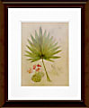 Timeless Frames Floral Katrina Brown Wall Artwork, 20" x 16", Botanical Journal II 1 thumbnail image