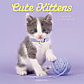 2026 Graphique Animals Monthly Wall Calendar, 12" x 12", Cute Kittens, January To December, CY97626 1 thumbnail image