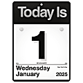 2025 AT-A-GLANCE® “Today Is” Daily Wall Calendar, 6" x 6", January To December, K100