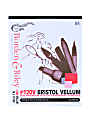 Borden & Riley #120 Bristol Pad, Vellum Finish, 14” x 17”, 12 Sheets Per Pad 1 thumbnail image