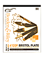 Borden & Riley #120 Bristol Pad, Plate Finish, 11” x 14”, 12 Sheets Per Pad 1 thumbnail image