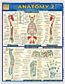 QuickStudy Guide, Anatomy 2 1 thumbnail image