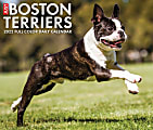 Willow Creek Press Page-A-Day Daily Desk Calendar, 5-1/2" x 6-1/4", Boston Terriers, January To December 2022 1 thumbnail image
