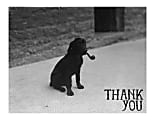 Retrospect Thank You Note Cards With Envelopes, 4 1/2" x 5 7/8", Dog With Pipe, Box Of 10
