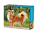 2024 Willow Creek Press Page-A-Day Daily Desk Calendar, 5" x 6", Chihuahuas, January To December