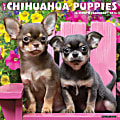 2024 Willow Creek Press Animals Monthly Wall Calendar, 12" x 12", Just Chihuahua Puppies, January To December