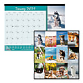 Blueline® Colorful Monthly Desk Pad Calendar, 22" x 17", Man's Best Friend, January To December 2023, C194116