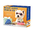 2025 Willow Creek Press Daily Desk Box Calendar, Animals, 5-1/2” x 6-1/4”, What Dogs Teach Us, January To December, 41116 1 thumbnail image