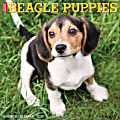 2026 Willow Creek Press Animals Monthly Wall Calendar, 12" x 12", Beagle Puppies, January To December, 50132 1 thumbnail image