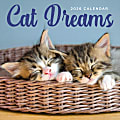 2026 TF Publishing Animals Monthly Wall Calendar, 12" x 12", Cat Dreams, January To December 1 thumbnail image
