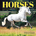 2026 TF Publishing Animals Monthly Wall Calendar, 12" x 12", Horses, January To December 1 thumbnail image