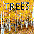 2026 TF Publishing Scenic & Nature Monthly Wall Calendar, 12" x 12", Trees, January To December 1 thumbnail image