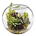 Nearly Natural Mixed Succulents 6-1/2”H Plastic Garden With Glass Vase, 6-1/2”H x 8”W x 8”D, Green 1 thumbnail image