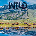 2026 TF Publishing Animals Monthly Wall Calendar, 12" x 12", Wild, January To December 1 thumbnail image