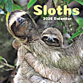 2026 TF Publishing Animals Monthly Wall Calendar, 12" x 12", Sloths, January To December 1 thumbnail image