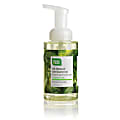 CleanWell™ Antibacterial Foaming Handsoap, Spearmint Lime, 9.5 Oz., Case Of 8