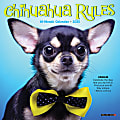 2025 Willow Creek Press Mini Wall Calendar, 7” x 7”, Chihuahua Rules, January 2025 To December 2025, 45695 1 thumbnail image