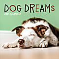 2024 TF Publishing Animal Wall Calendars, 12” x 12”, Dog Dreams, January To December