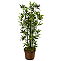 Nearly Natural Bamboo 48”H Artificial Tree With Coiled Rope Planter, 48”H x 24”W x 16”D, Green