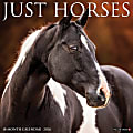 2026 Willow Creek Press Monthly Wall Calendar, 12" x 12", Just Horses, January To December, O51504 1 thumbnail image