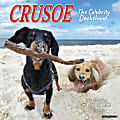 2026 Willow Creek Press Animals Monthly Wall Calendar, 12" x 12", Crusoe the Celebrity Dachshund, January To December, 50910 1 thumbnail image