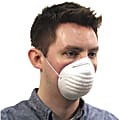 ProGuard Disposable Nontoxic Dust Mask - Disposable, Elastic Band - Pollen, Dust, Grass Protection - Polypropylene - White - 12 / Carton 1 thumbnail image