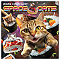 2026 TF Publishing Humor & Comics Mini Monthly Wall Calendar, 7" x 7", Space Cats, January To December 1 thumbnail image