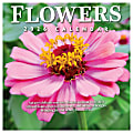 2026 TF Publishing Scenic Monthly Mini Wall Calendar, 7" x 7", Flowers, January To December 1 thumbnail image
