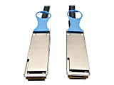 Eaton Tripp Lite Series QSFP28 to QSFP28 100GbE Passive DAC Copper InfiniBand Cable (M/M), 0.5 m (20 in.) - InfiniBand cable - QSFP28 (M) to QSFP28 (M) - 1.6 ft - SFF-8665/IEEE 802.3bj - passive - black