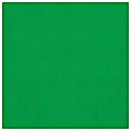 Amscan Gift Tissue Papers, 20” x 20”, Green, Pack Of 8 Papers