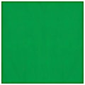 Amscan Gift Tissue Papers, 20” x 20”, Green, Pack Of 8 Papers 1 thumbnail image