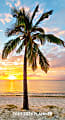 2025-2026 Willow Creek Press 2-Year Monthly Checkbook Calendar, 6-1/2” x 3-1/2”, Paradise, January 2025 To December 2026, O47071 1 thumbnail image