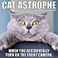 2026 Willow Creek Press Art & Design Monthly Wall Calendar, 12" x 12", Cat-astrophe, January To December, 50606 1 thumbnail image