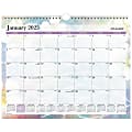 2025 AT-A-GLANCE Dreams Monthly Wall Calendar, 15" x 12", January To December, PM83-707