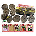 Yellow Door Let's Investigate Farmyard Footprints Stones, Pack of 8 Stones 1 thumbnail image